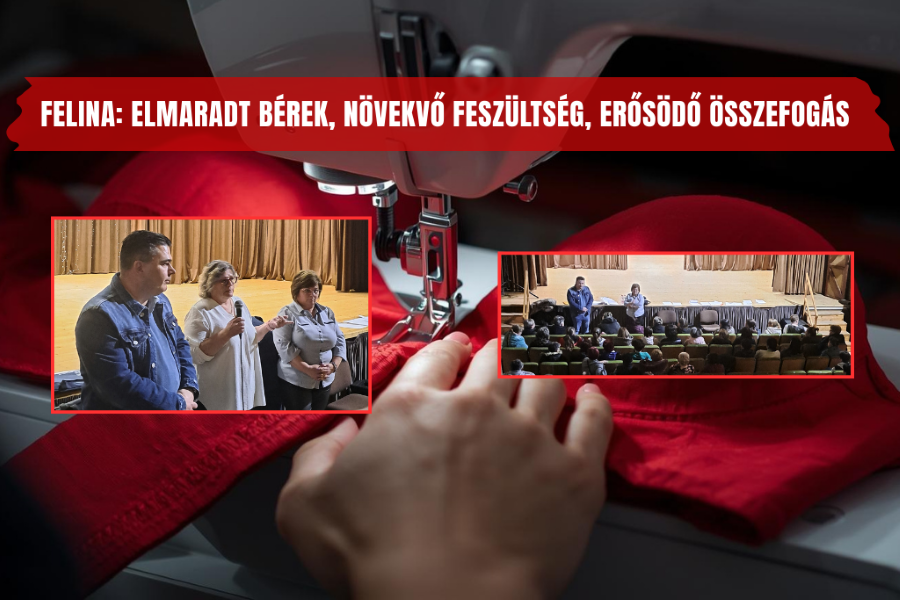 Felina cikkfokep202603 Egyedi